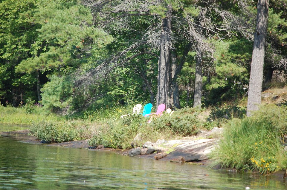 SUMMER (1309)